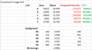 fluorescence intensity determining signal umbc imagej
