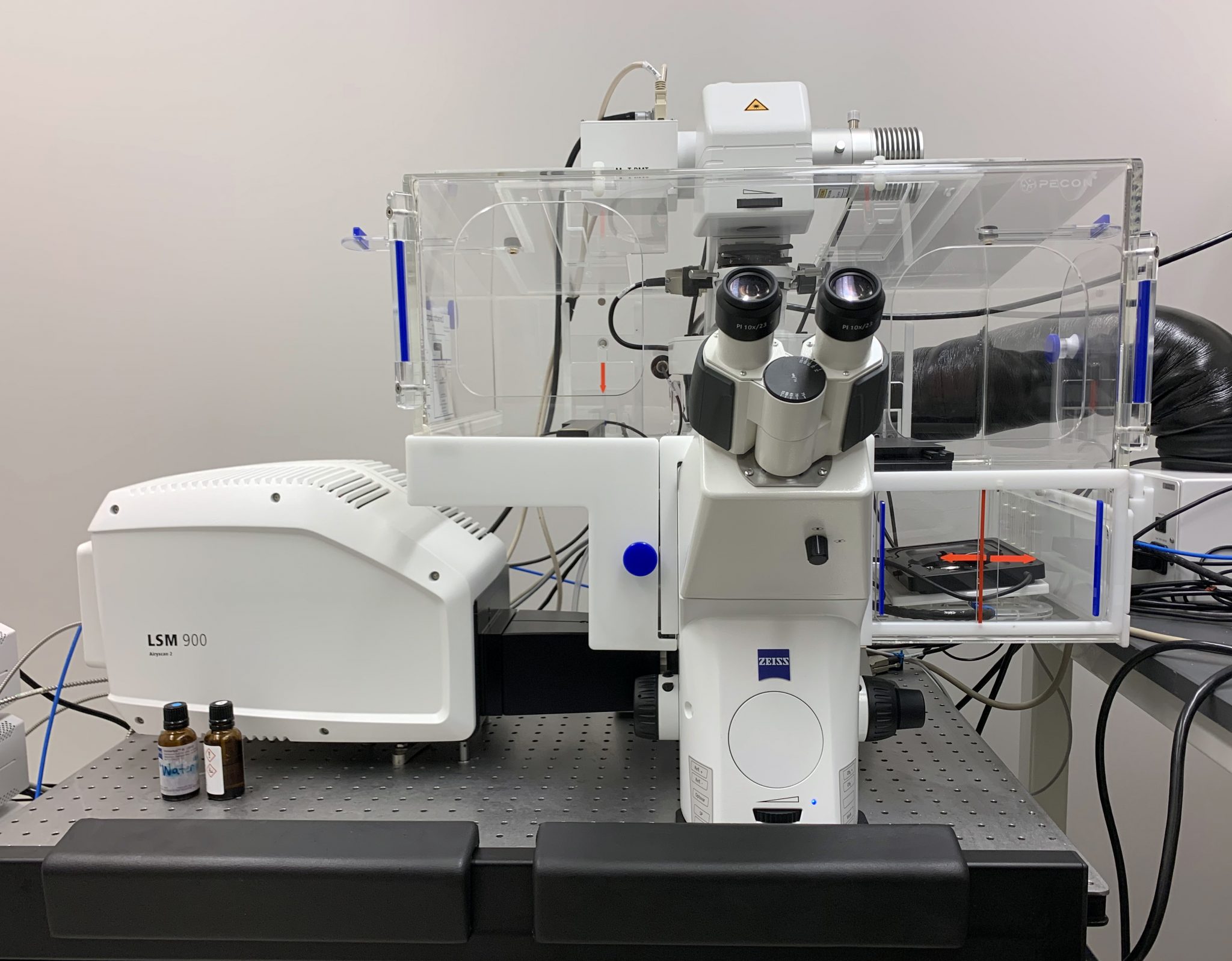 confocal-microscopy-keith-r-porter-imaging-facility-umbc