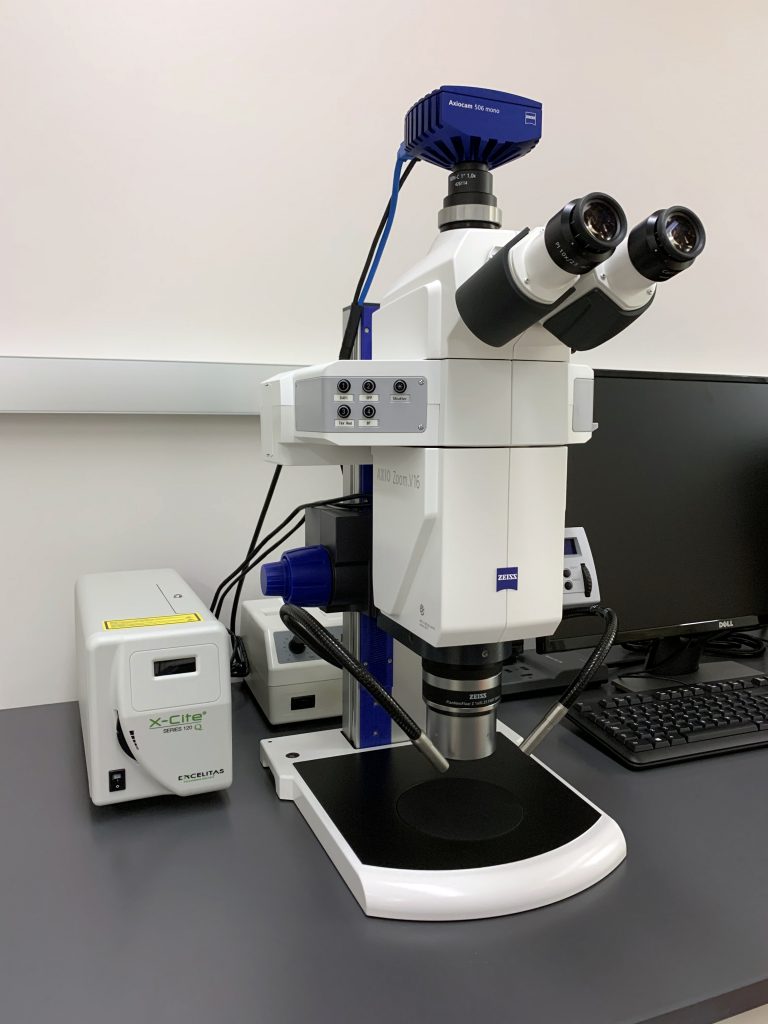 Zoom Microscope – Keith R. Porter Imaging Facility – UMBC